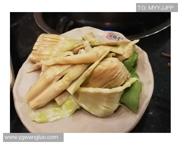 深度对话周磊篮球人生的启示与成长之路探讨