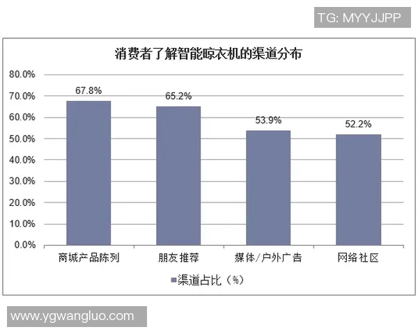 成都极限运动队的节奏探讨与发展趋势分析