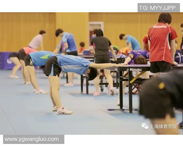 广州乒乓球队的速度之道:技术与训练的完美结合探秘